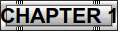 CHAPTER 1